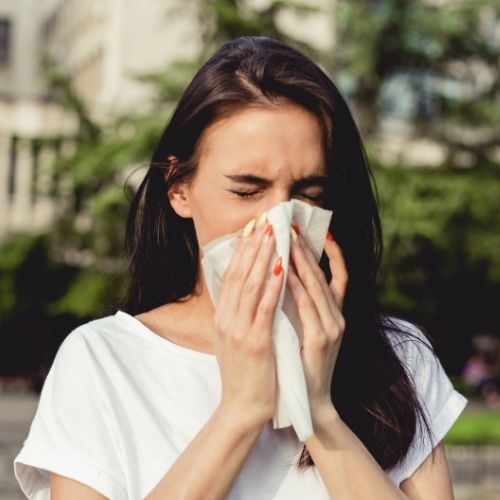 Allergy and Itch Relief